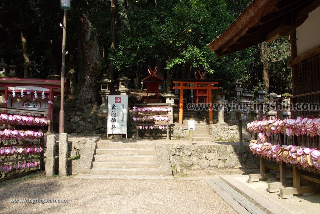 YTS_YTS_20180716_Japan Kansai Nara Kasuga-taisha／Nara Park日本關西奈良春日大社／夫婦大國社／奈良公園125_3A5A5662.jpg