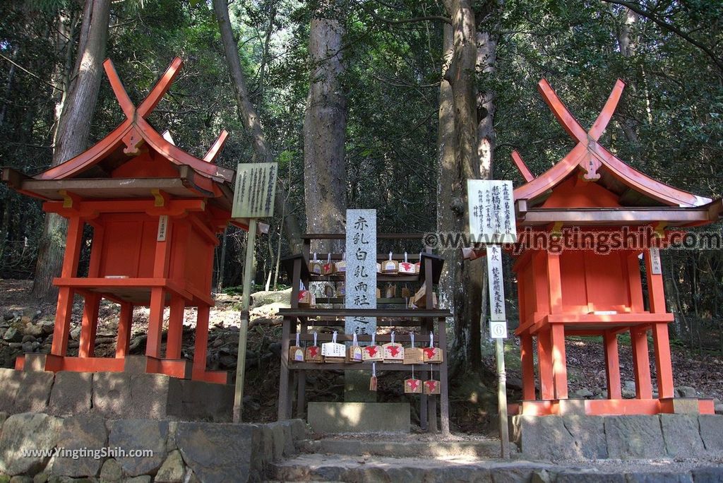 YTS_YTS_20180716_Japan Kansai Nara Kasuga-taisha／Nara Park日本關西奈良春日大社／夫婦大國社／奈良公園133_3A5A5758.jpg