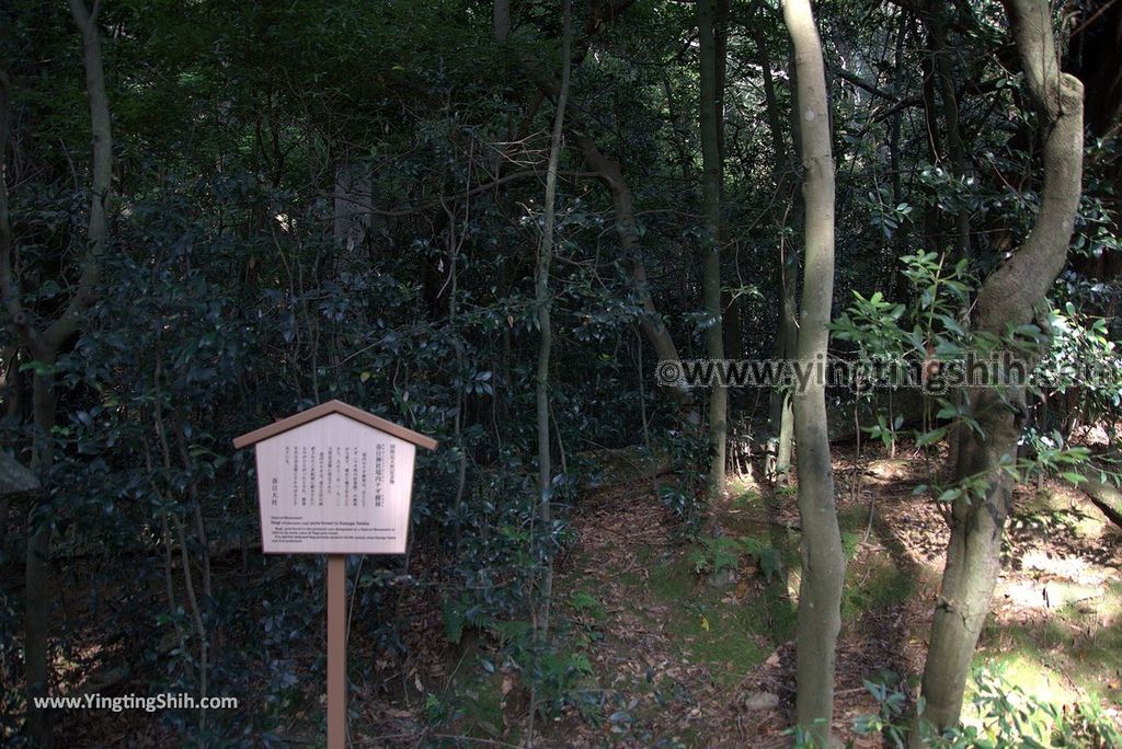 YTS_YTS_20180716_Japan Kansai Nara Kasuga-taisha／Nara Park日本關西奈良春日大社／夫婦大國社／奈良公園141_3A5A5800.jpg