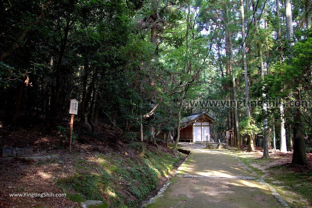 YTS_YTS_20180716_Japan Kansai Nara Kasuga-taisha／Nara Park日本關西奈良春日大社／夫婦大國社／奈良公園159_3A5A5902.jpg