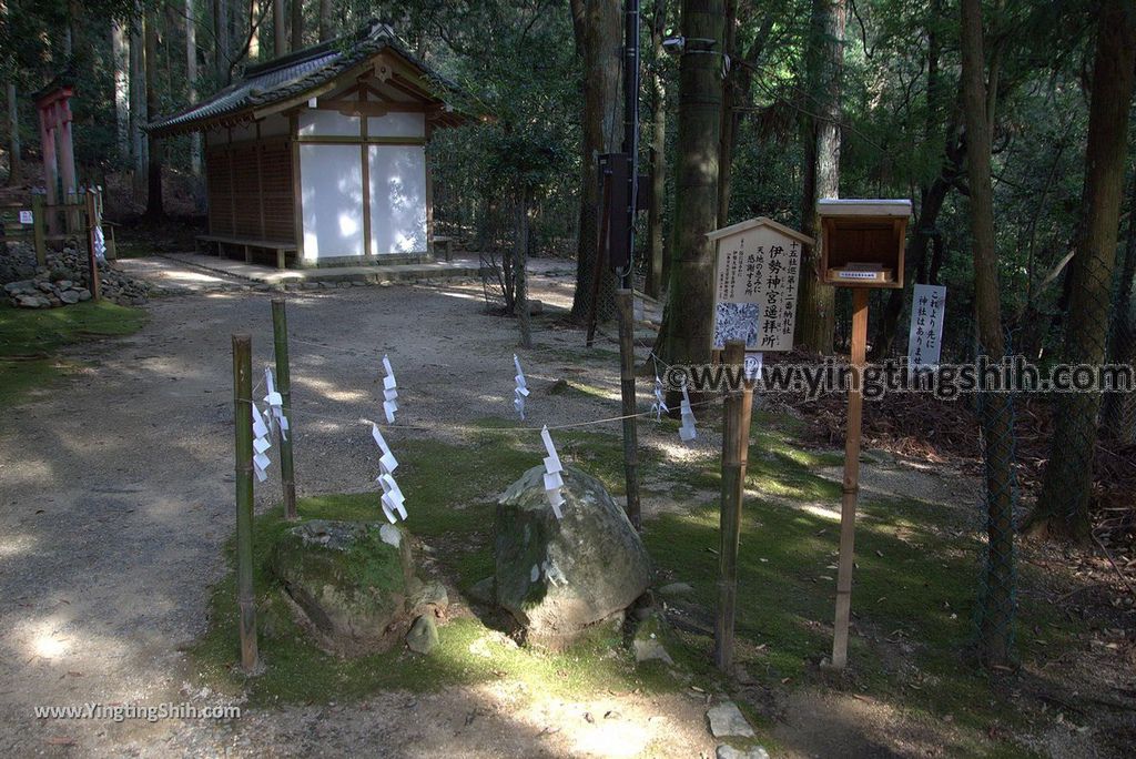 YTS_YTS_20180716_Japan Kansai Nara Kasuga-taisha／Nara Park日本關西奈良春日大社／夫婦大國社／奈良公園162_3A5A5918.jpg