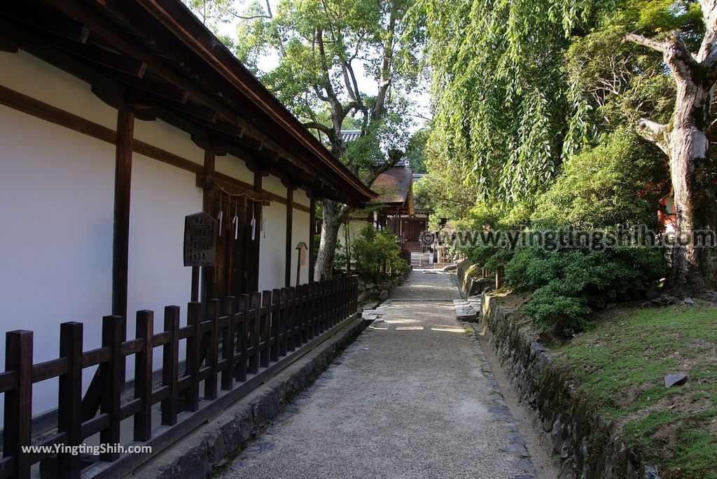 YTS_YTS_20180716_Japan Kansai Nara Kasuga-taisha／Nara Park日本關西奈良春日大社／夫婦大國社／奈良公園215_3A5A6391.jpg