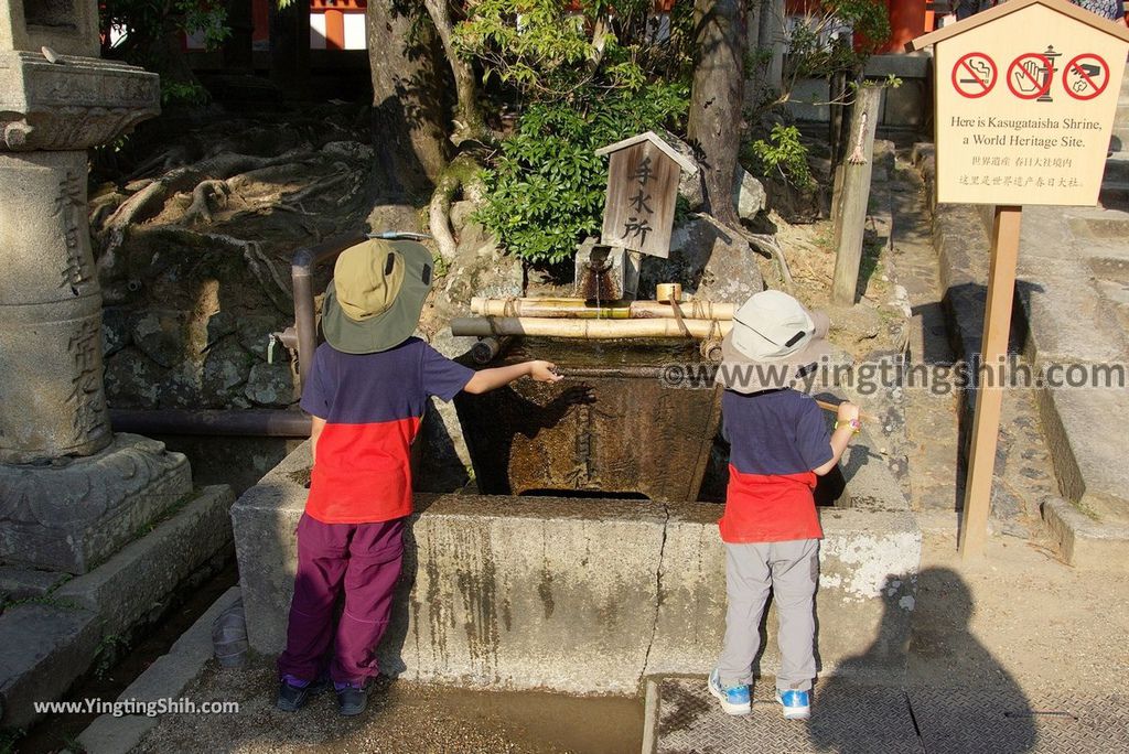 YTS_YTS_20180716_Japan Kansai Nara Kasuga-taisha／Nara Park日本關西奈良春日大社／夫婦大國社／奈良公園224_3A5A6439.jpg