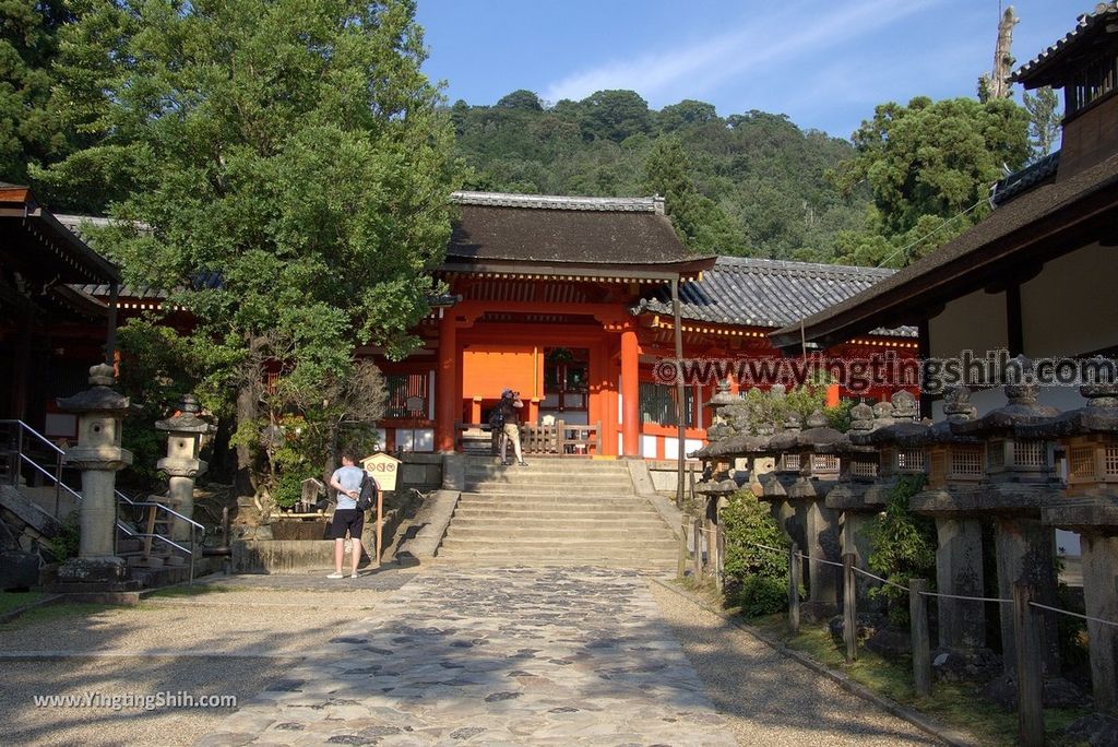 YTS_YTS_20180716_Japan Kansai Nara Kasuga-taisha／Nara Park日本關西奈良春日大社／夫婦大國社／奈良公園223_3A5A6497.jpg