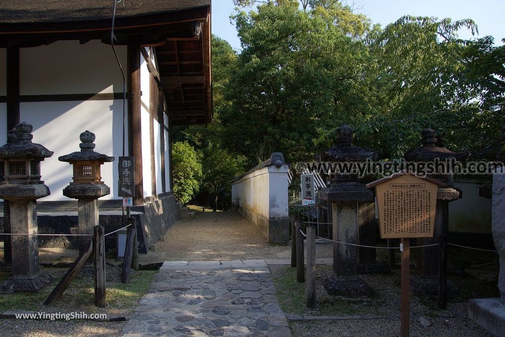 YTS_YTS_20180716_Japan Kansai Nara Kasuga-taisha／Nara Park日本關西奈良春日大社／夫婦大國社／奈良公園227_3A5A6455.jpg