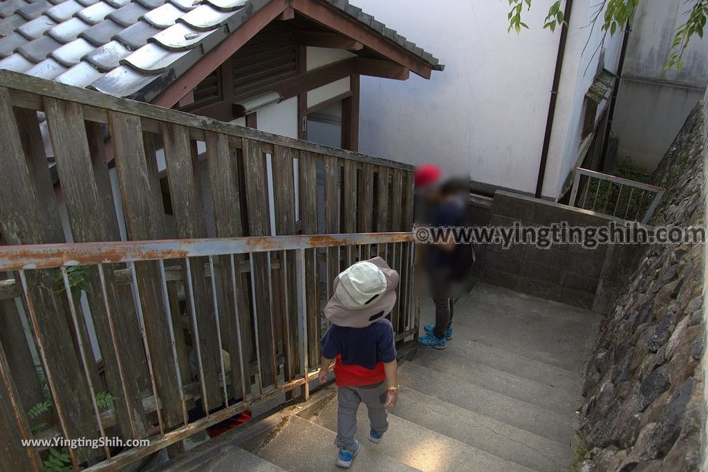 YTS_YTS_20180716_Japan Kansai Nara Kasuga-taisha／Nara Park日本關西奈良春日大社／夫婦大國社／奈良公園229_3A5A6475.jpg