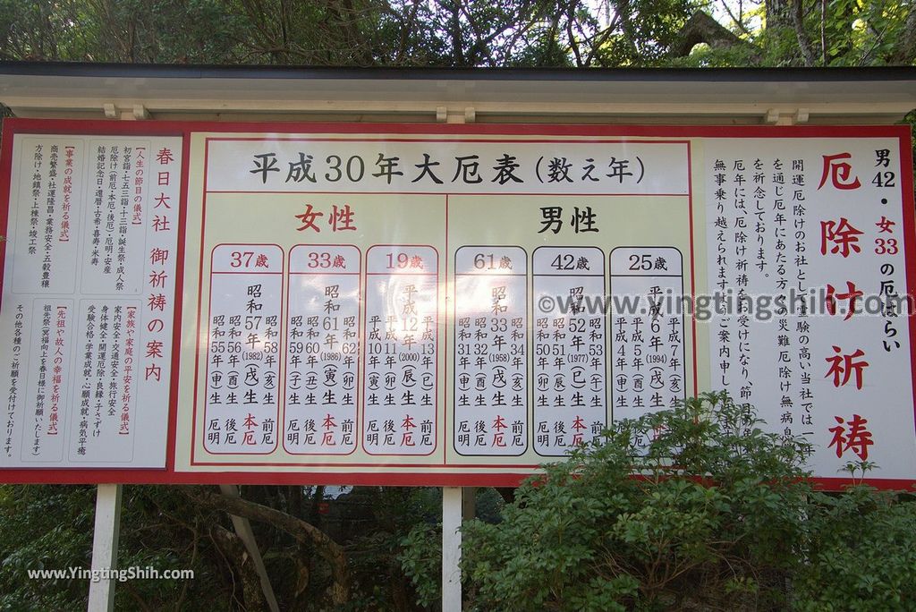 YTS_YTS_20180716_Japan Kansai Nara Kasuga-taisha／Nara Park日本關西奈良春日大社／夫婦大國社／奈良公園232_3A5A6509.jpg