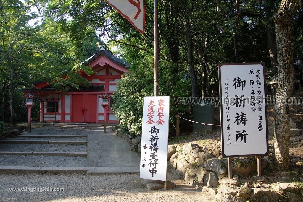 YTS_YTS_20180716_Japan Kansai Nara Kasuga-taisha／Nara Park日本關西奈良春日大社／夫婦大國社／奈良公園231_3A5A6506.jpg