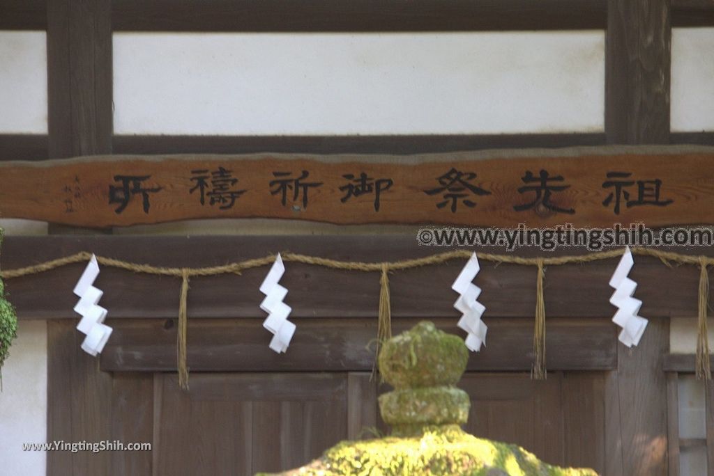 YTS_YTS_20180716_Japan Kansai Nara Kasuga-taisha／Nara Park日本關西奈良春日大社／夫婦大國社／奈良公園239_3A5A6573.jpg