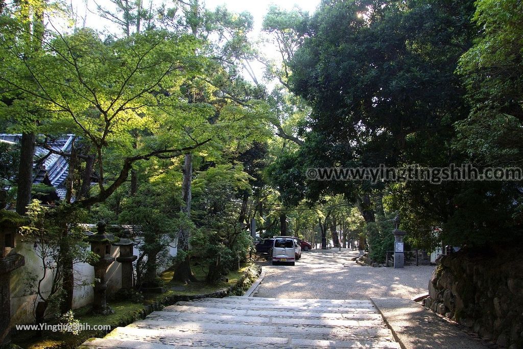 YTS_YTS_20180716_Japan Kansai Nara Kasuga-taisha／Nara Park日本關西奈良春日大社／夫婦大國社／奈良公園240_3A5A6576.jpg