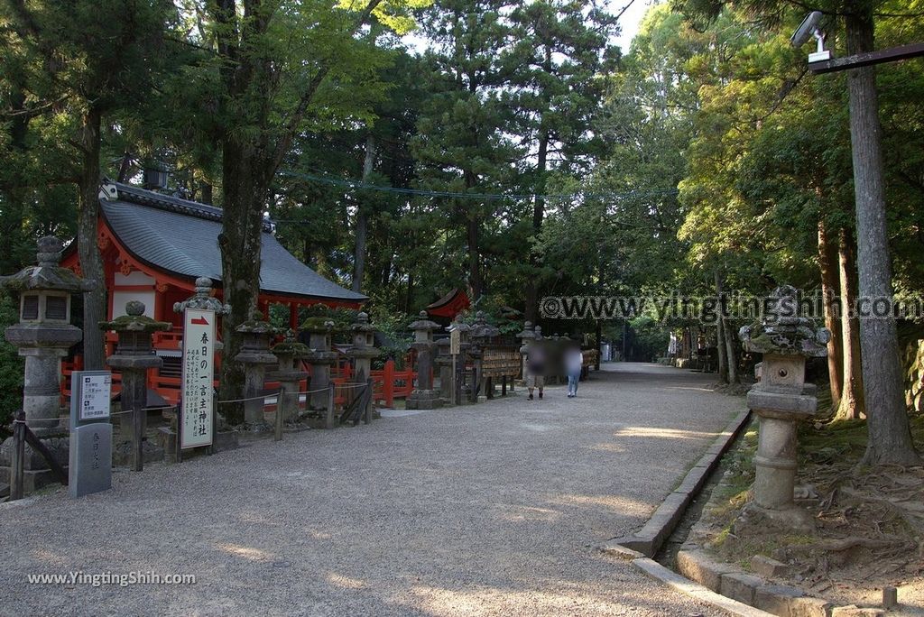 YTS_YTS_20180716_Japan Kansai Nara Kasuga-taisha／Nara Park日本關西奈良春日大社／夫婦大國社／奈良公園241_3A5A6578.jpg