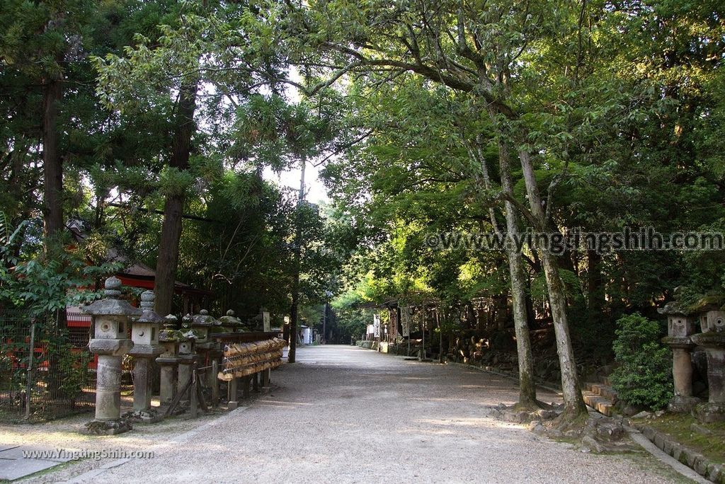 YTS_YTS_20180716_Japan Kansai Nara Kasuga-taisha／Nara Park日本關西奈良春日大社／夫婦大國社／奈良公園244_3A5A6595.jpg