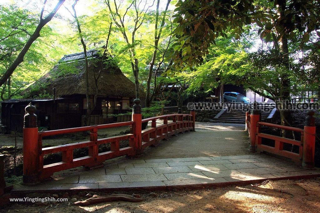 YTS_YTS_20180716_Japan Kansai Nara Kasuga-taisha／Nara Park日本關西奈良春日大社／夫婦大國社／奈良公園262_3A5A6697.jpg