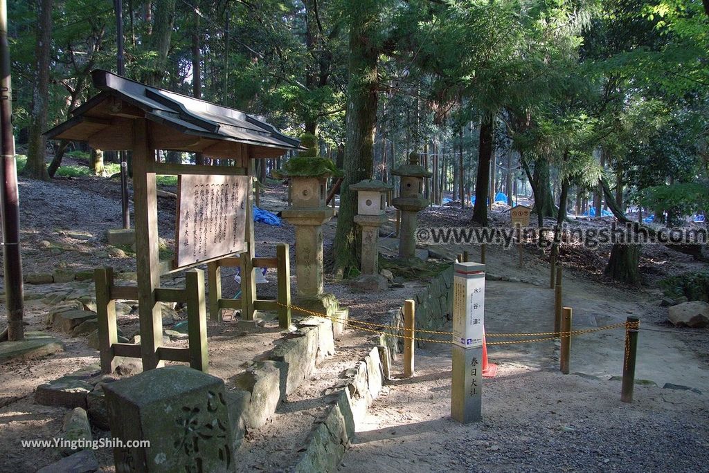 YTS_YTS_20180716_Japan Kansai Nara Kasuga-taisha／Nara Park日本關西奈良春日大社／夫婦大國社／奈良公園260_3A5A6689.jpg