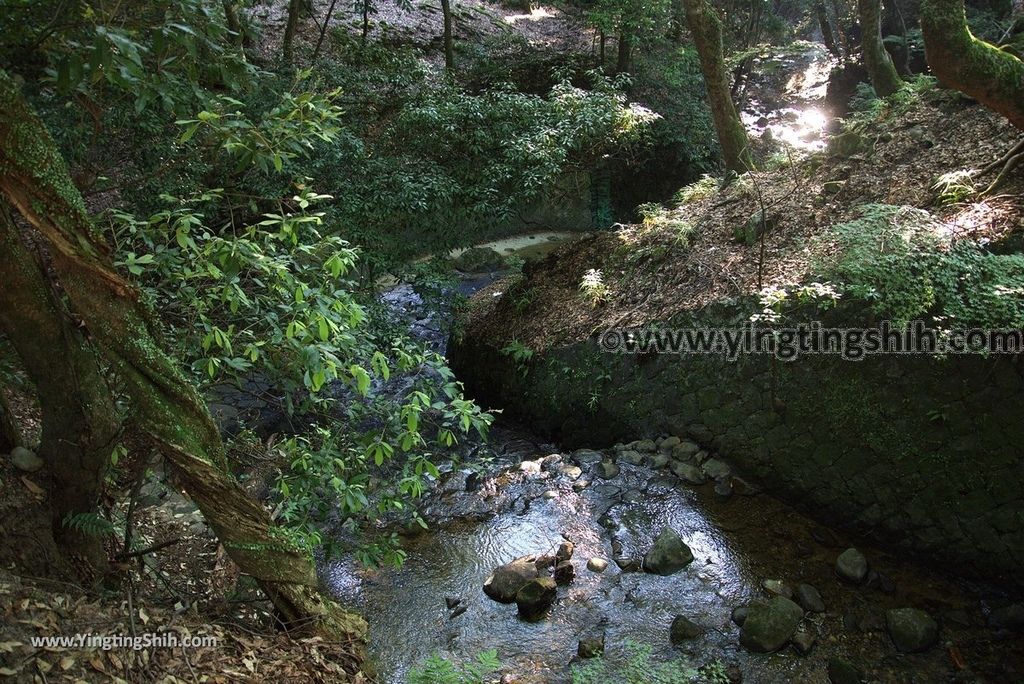 YTS_YTS_20180716_Japan Kansai Nara Kasuga-taisha／Nara Park日本關西奈良春日大社／夫婦大國社／奈良公園264_3A5A6722.jpg