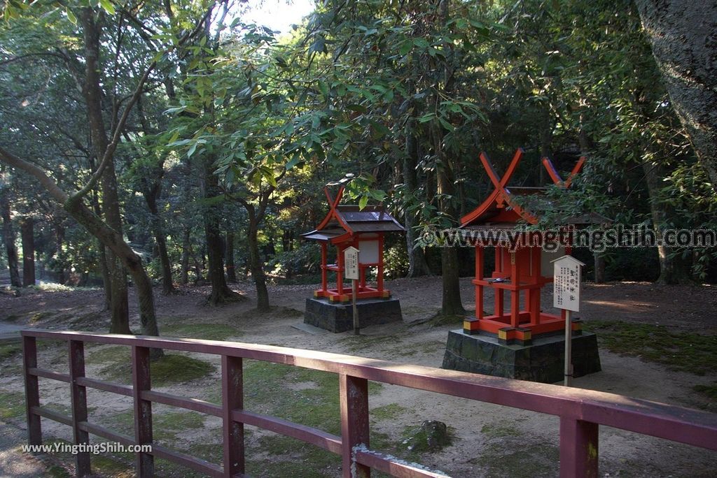 YTS_YTS_20180716_Japan Kansai Nara Kasuga-taisha／Nara Park日本關西奈良春日大社／夫婦大國社／奈良公園273_3A5A6844.jpg