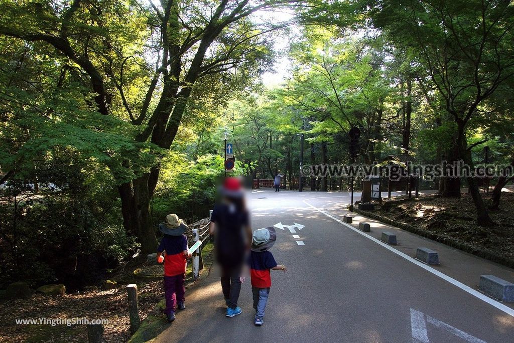 YTS_YTS_20180716_Japan Kansai Nara Kasuga-taisha／Nara Park日本關西奈良春日大社／夫婦大國社／奈良公園278_3A5A6808.jpg