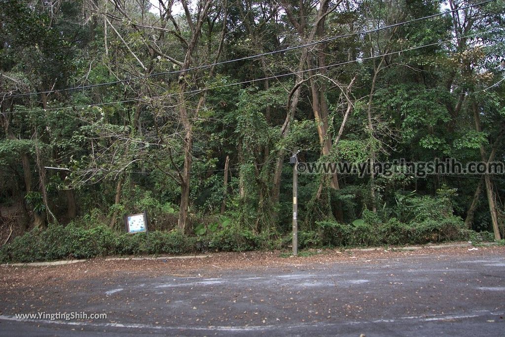 YTS_YTS_20181215_南投水里坪林聚落／永興宮／香樟樹林步道／馬路馬山步道／觀音寺Nantou Shuili YongXing Temple002_3A5A5440.jpg