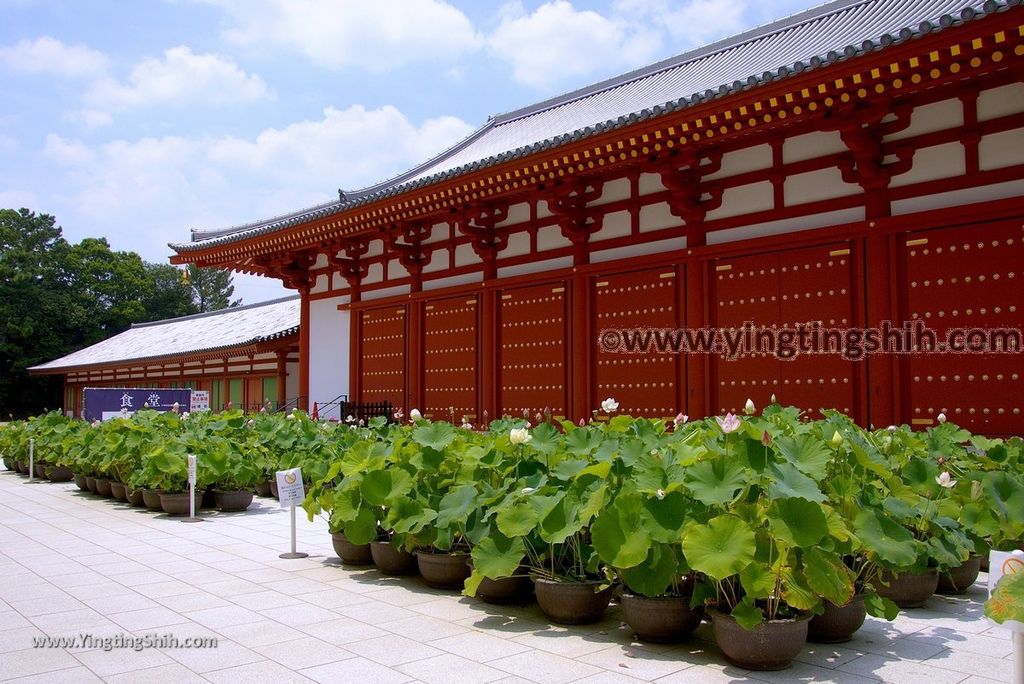 YTS_YTS_20180716_Japan Kansai Nara Yakushi-ji Temple／Genjo Sanzoin Garan日本關西奈良藥師寺／玄奘三蔵院伽藍154_3A5A3977.jpg