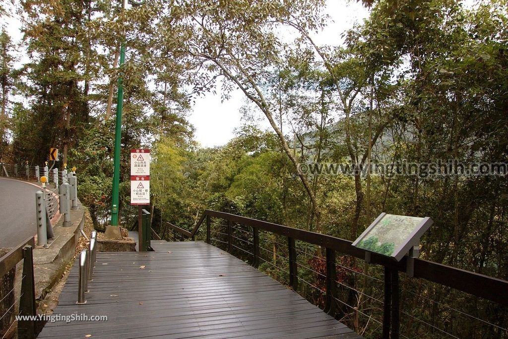 YTS_YTS_20181216_南投魚池日月潭九蛙疊像／水蛙頭步道Nantou Yuchi Sun Moon Lake Nine Frogs Stack Hiking Trail013_3A5A9840.jpg