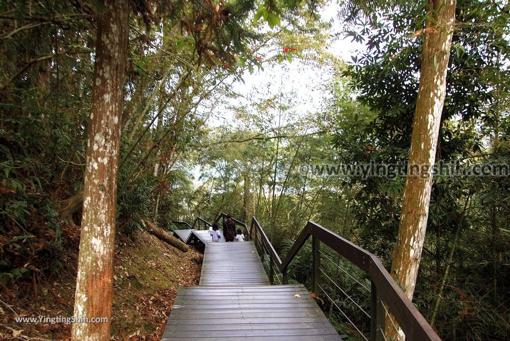 YTS_YTS_20181216_南投魚池日月潭九蛙疊像／水蛙頭步道Nantou Yuchi Sun Moon Lake Nine Frogs Stack Hiking Trail019_3A5A9922.jpg