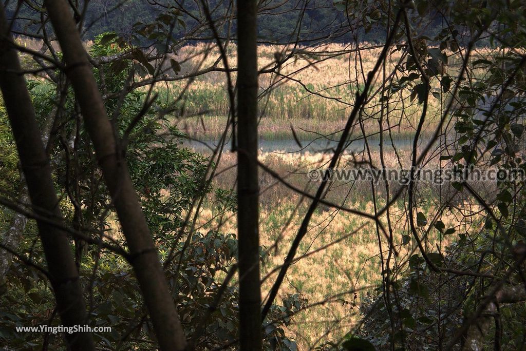 YTS_YTS_20181216_南投魚池日月潭九蛙疊像／水蛙頭步道Nantou Yuchi Sun Moon Lake Nine Frogs Stack Hiking Trail023_3A5A9942.jpg