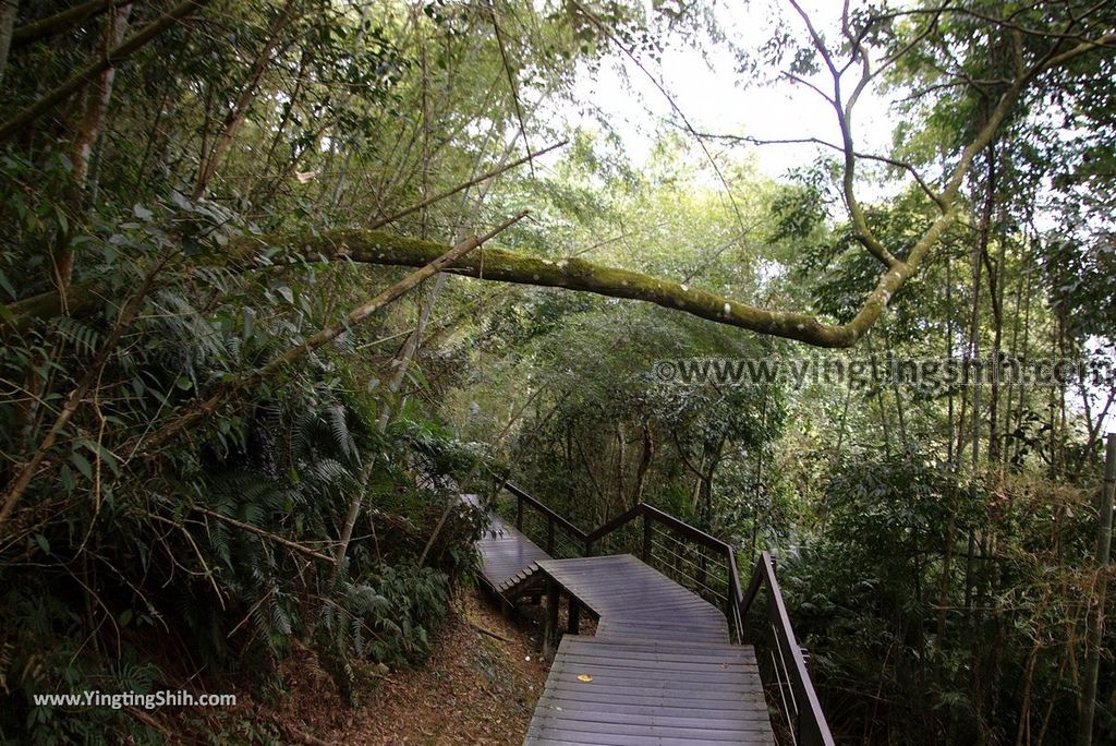 YTS_YTS_20181216_南投魚池日月潭九蛙疊像／水蛙頭步道Nantou Yuchi Sun Moon Lake Nine Frogs Stack Hiking Trail022_3A5A9950.jpg