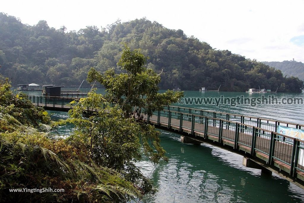 YTS_YTS_20181216_南投魚池日月潭九蛙疊像／水蛙頭步道Nantou Yuchi Sun Moon Lake Nine Frogs Stack Hiking Trail054_3A5A0117.jpg