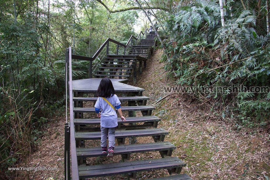 YTS_YTS_20181216_南投魚池日月潭九蛙疊像／水蛙頭步道Nantou Yuchi Sun Moon Lake Nine Frogs Stack Hiking Trail058_3A5A0565.jpg