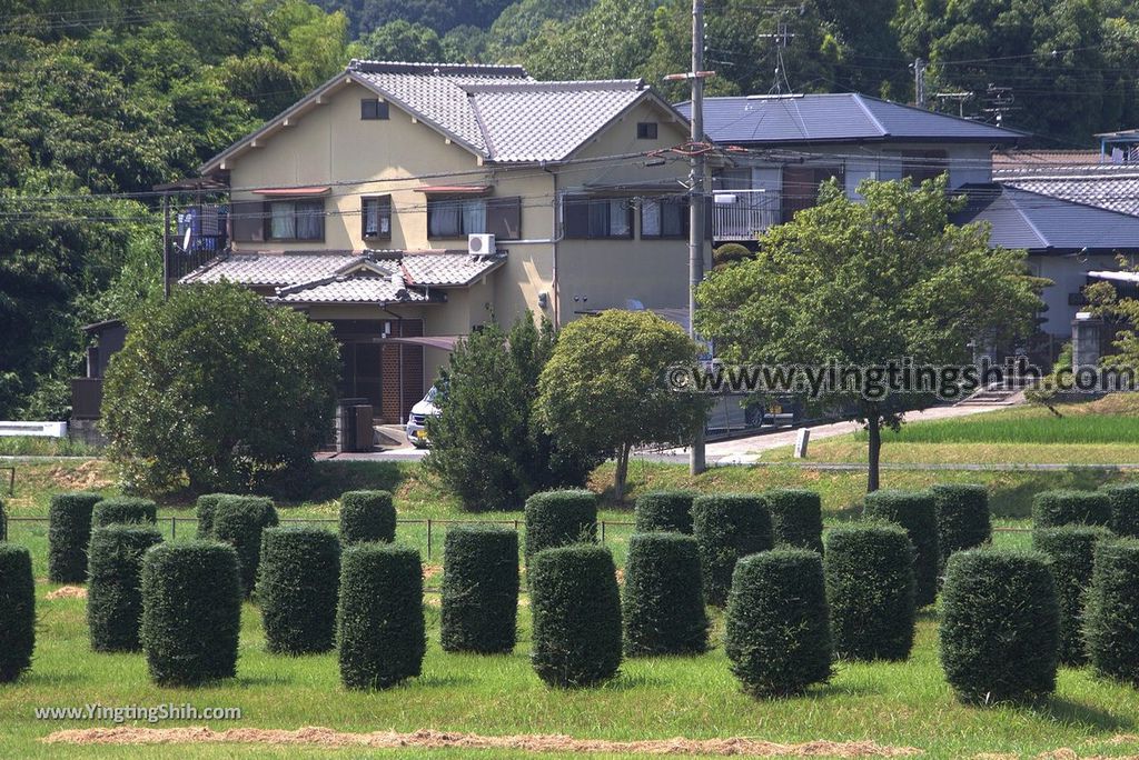 YTS_YTS_20180715_Japan Kansai Nara Heijo Palace Remains日本關西奈良平城宮跡／大極殿／朱雀門／遺構展示館308_3A5A0232.jpg