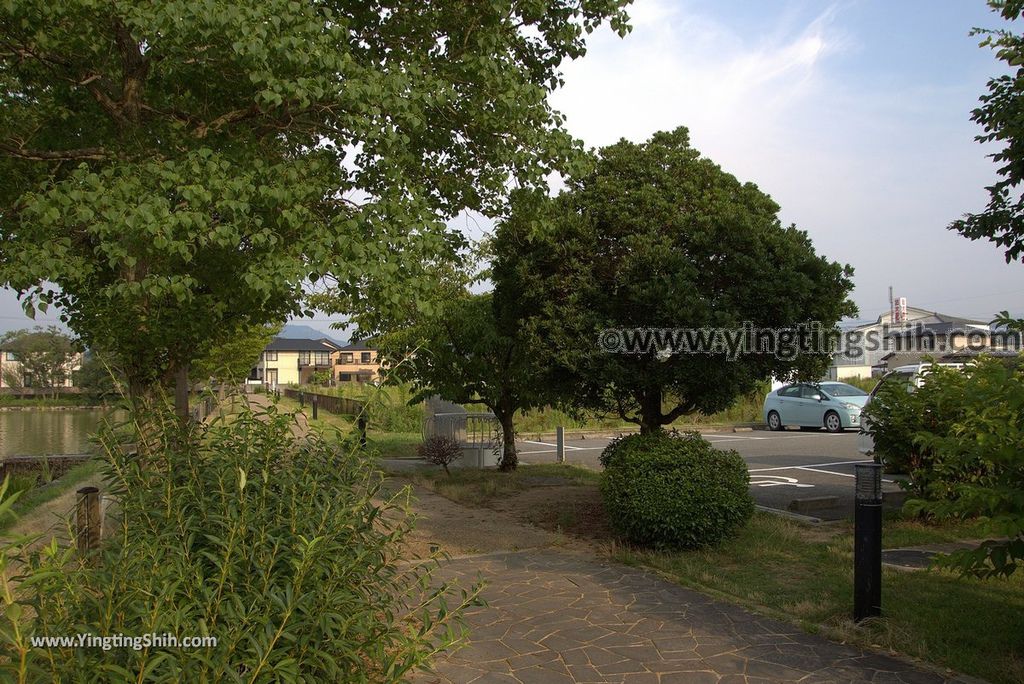 YTS_YTS_20180717_Japan Kansai Wakayama Hira Pond日本關西和歌山平池綠地大公園／平池古墳群058_3A5A2797.jpg