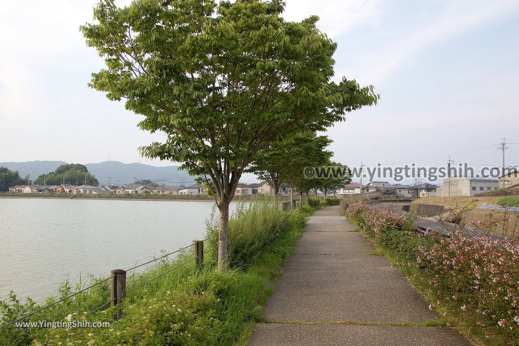 YTS_YTS_20180717_Japan Kansai Wakayama Hira Pond日本關西和歌山平池綠地大公園／平池古墳群060_3A5A2840.jpg