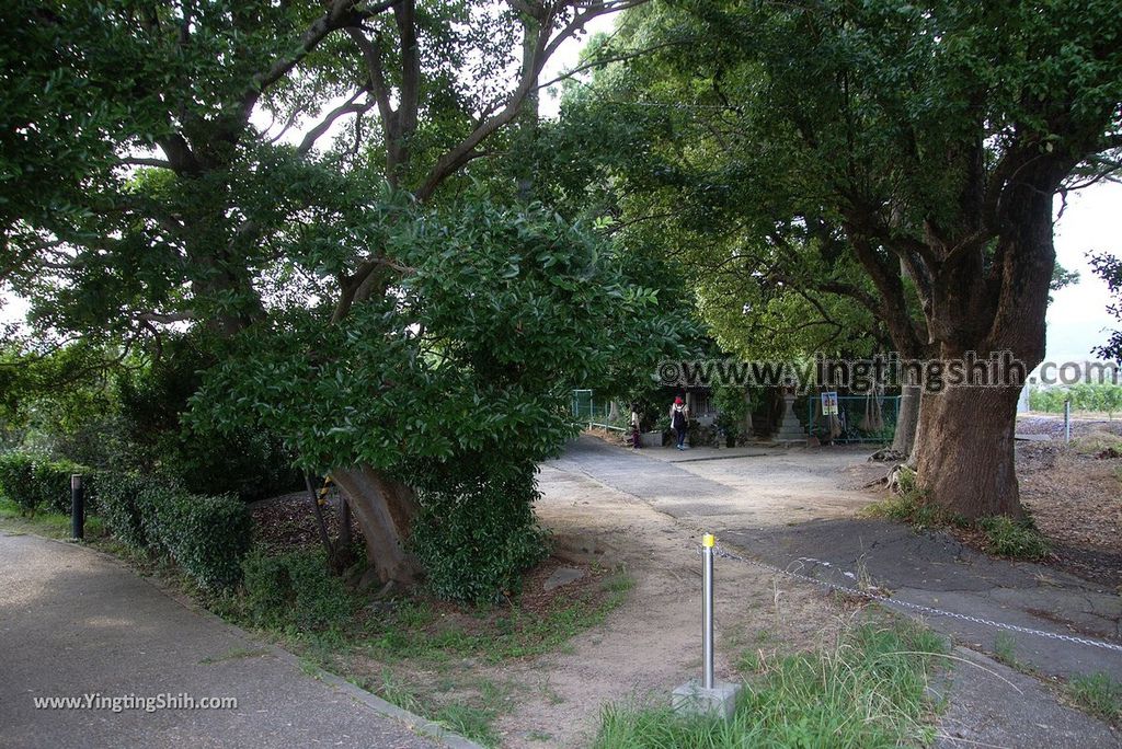 YTS_YTS_20180717_Japan Kansai Wakayama Hira Pond日本關西和歌山平池綠地大公園／平池古墳群078_3A5A3226.jpg