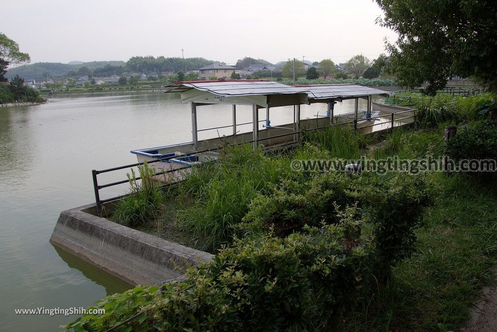 YTS_YTS_20180717_Japan Kansai Wakayama Hira Pond日本關西和歌山平池綠地大公園／平池古墳群095_3A5A3414.jpg