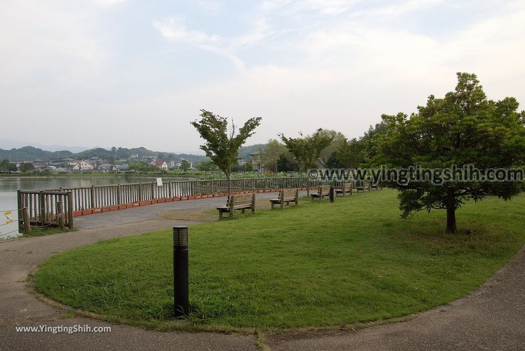 YTS_YTS_20180717_Japan Kansai Wakayama Hira Pond日本關西和歌山平池綠地大公園／平池古墳群101_3A5A3448.jpg