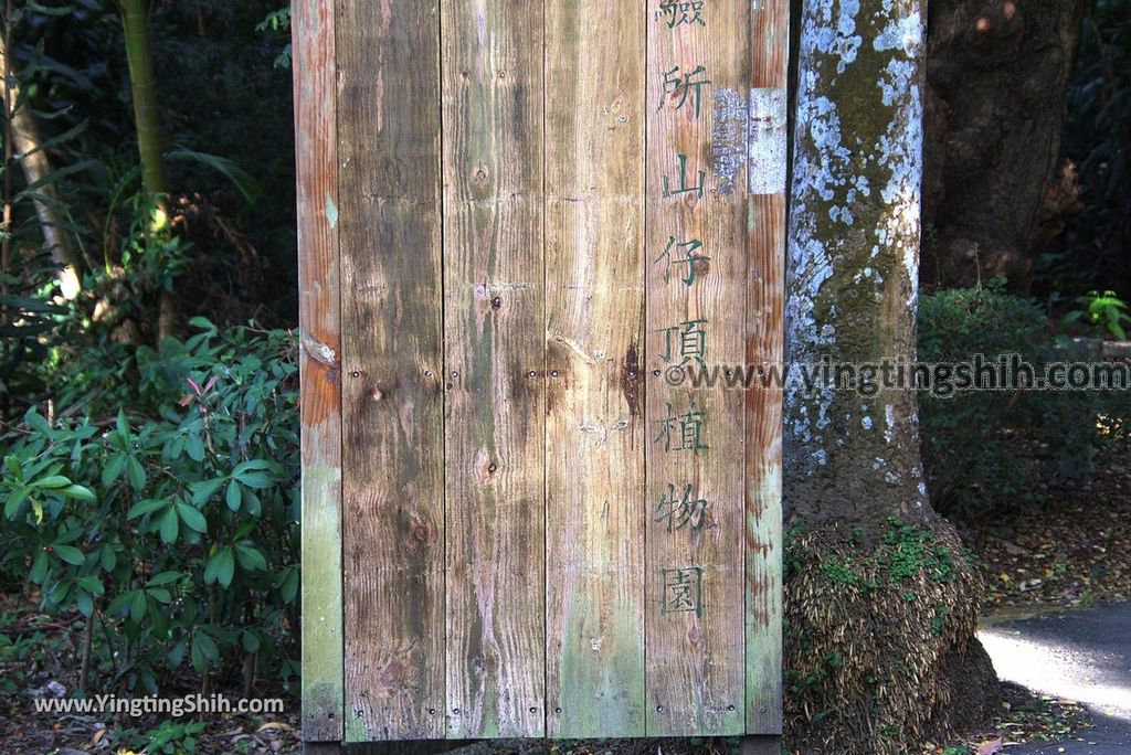 YTS_YTS_20181228_嘉義東區林業試驗所嘉義樹木園／山仔頂植物園Chiayi East District Chiayi Botanical Garden010_3A5A9114.jpg