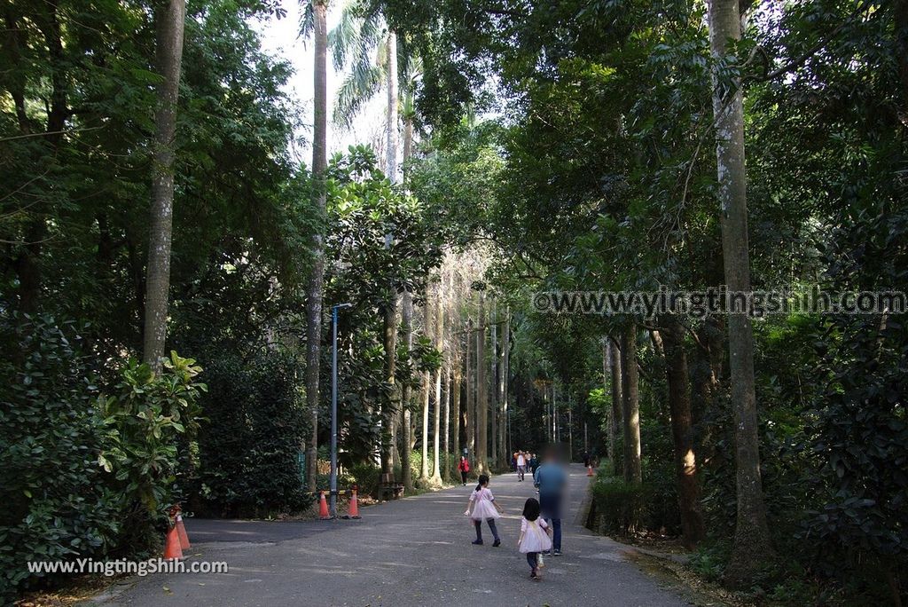 YTS_YTS_20181228_嘉義東區林業試驗所嘉義樹木園／山仔頂植物園Chiayi East District Chiayi Botanical Garden013_3A5A9137.jpg