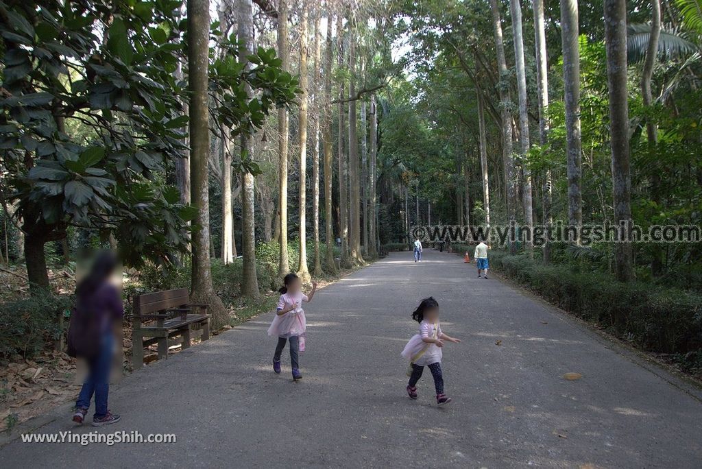 YTS_YTS_20181228_嘉義東區林業試驗所嘉義樹木園／山仔頂植物園Chiayi East District Chiayi Botanical Garden019_3A5A9175.jpg