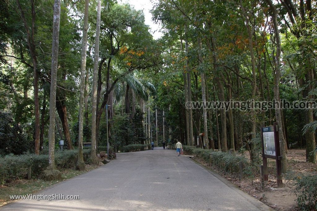 YTS_YTS_20181228_嘉義東區林業試驗所嘉義樹木園／山仔頂植物園Chiayi East District Chiayi Botanical Garden020_3A5A9182.jpg