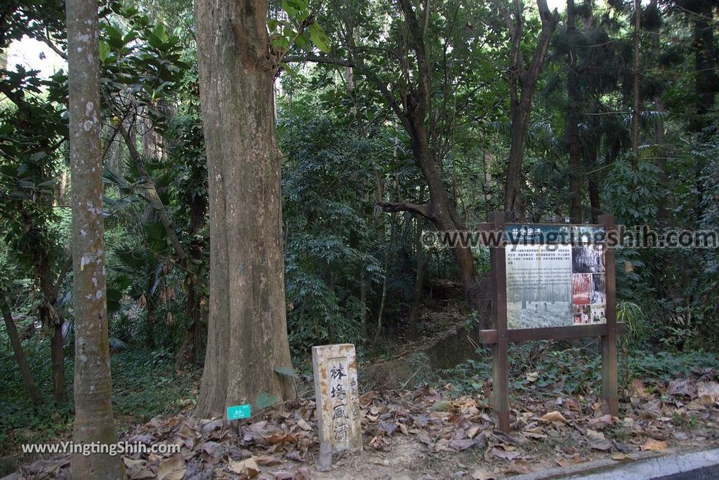 YTS_YTS_20181228_嘉義東區林業試驗所嘉義樹木園／山仔頂植物園Chiayi East District Chiayi Botanical Garden035_3A5A9265.jpg