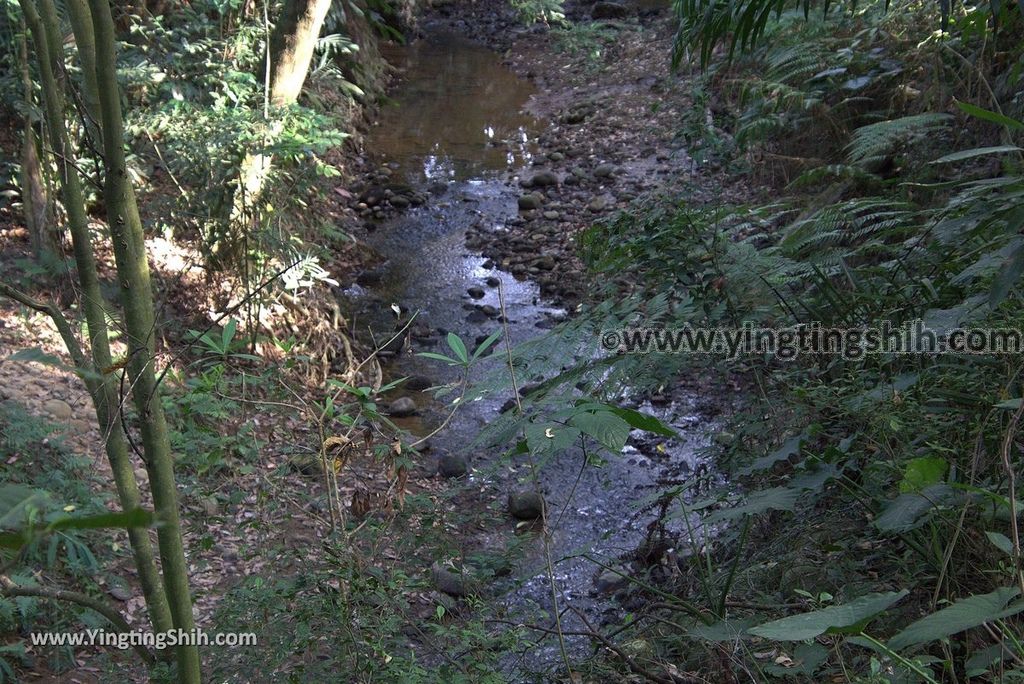 YTS_YTS_20181228_嘉義東區林業試驗所嘉義樹木園／山仔頂植物園Chiayi East District Chiayi Botanical Garden069_3A5A9500.jpg