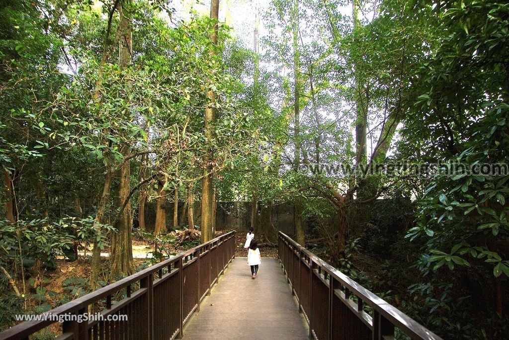 YTS_YTS_20181228_嘉義東區林業試驗所嘉義樹木園／山仔頂植物園Chiayi East District Chiayi Botanical Garden072_3A5A9524.jpg