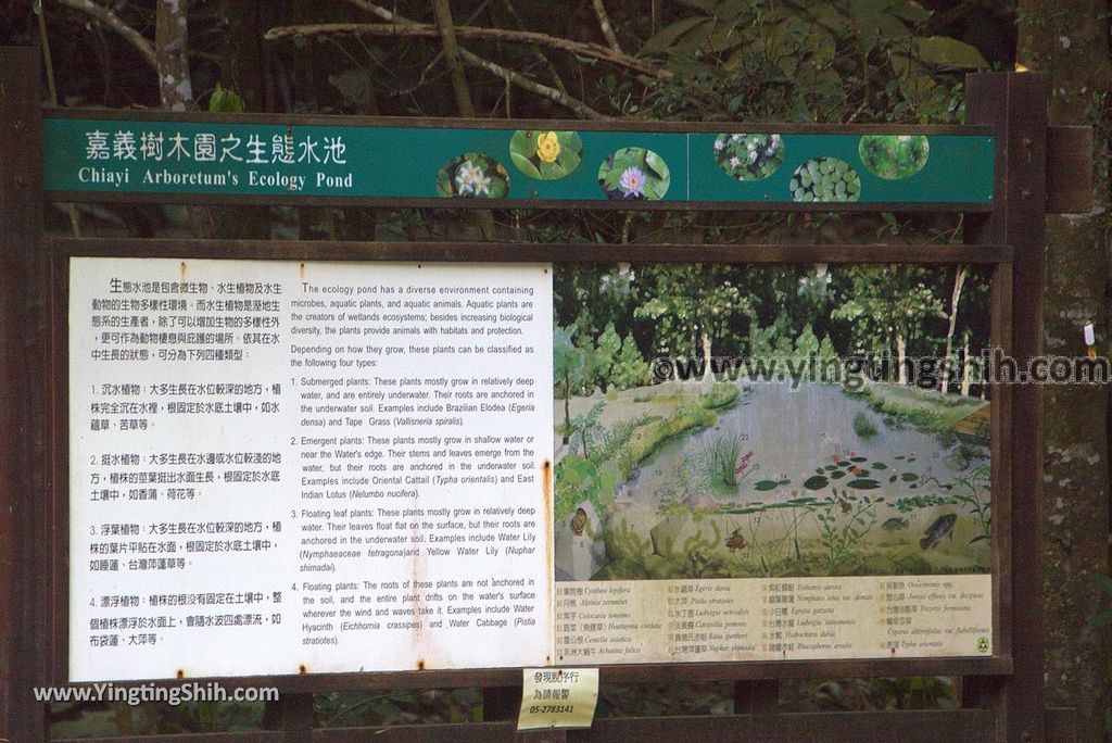 YTS_YTS_20181228_嘉義東區林業試驗所嘉義樹木園／山仔頂植物園Chiayi East District Chiayi Botanical Garden097_3A5A9742.jpg