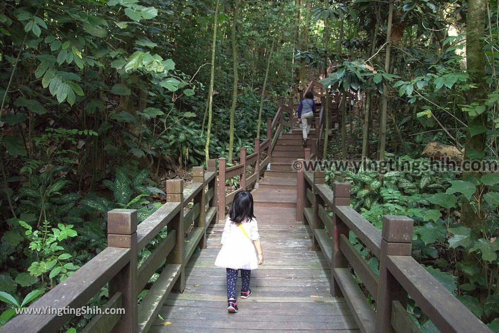 YTS_YTS_20181228_嘉義東區林業試驗所嘉義樹木園／山仔頂植物園Chiayi East District Chiayi Botanical Garden103_3A5A9808.jpg