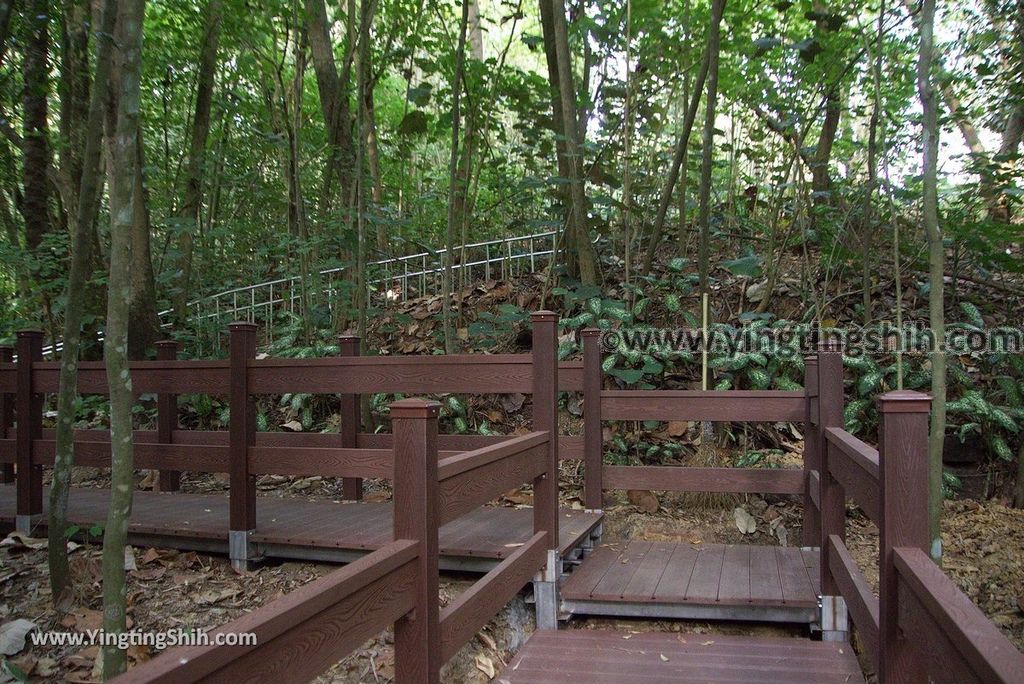 YTS_YTS_20181228_嘉義東區林業試驗所嘉義樹木園／山仔頂植物園Chiayi East District Chiayi Botanical Garden105_3A5A9816.jpg