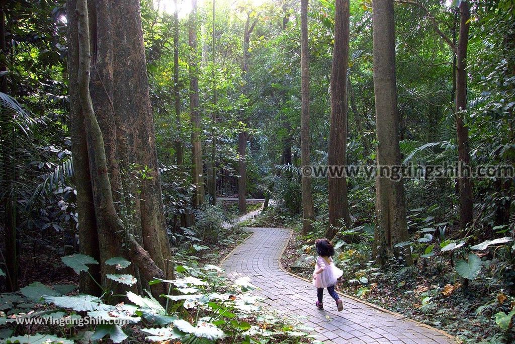 YTS_YTS_20181228_嘉義東區林業試驗所嘉義樹木園／山仔頂植物園Chiayi East District Chiayi Botanical Garden115_3A5A0006.jpg