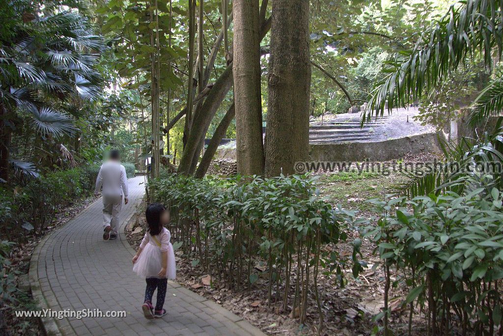 YTS_YTS_20181228_嘉義東區林業試驗所嘉義樹木園／山仔頂植物園Chiayi East District Chiayi Botanical Garden117_3A5A0013.jpg