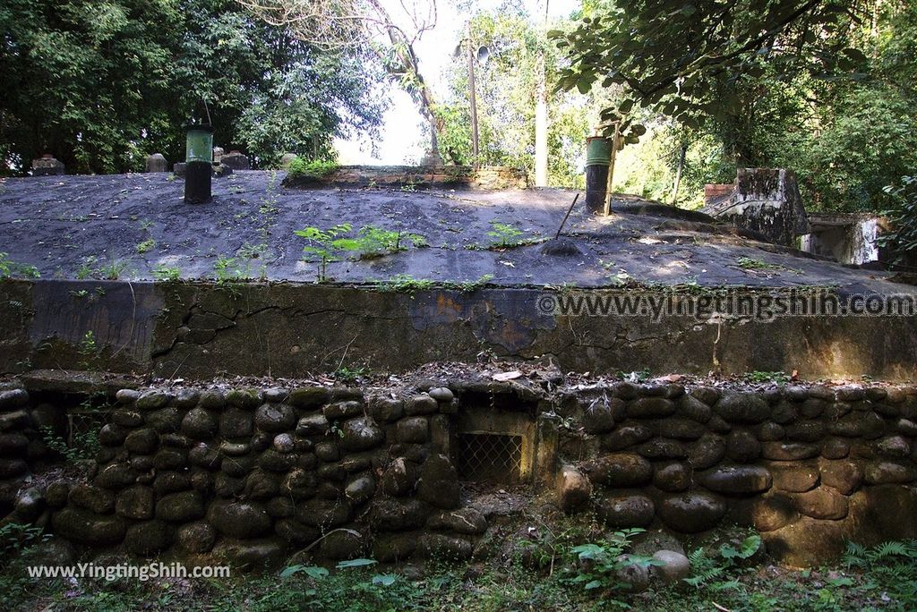 YTS_YTS_20181228_嘉義東區林業試驗所嘉義樹木園／山仔頂植物園Chiayi East District Chiayi Botanical Garden122_3A5A0036.jpg