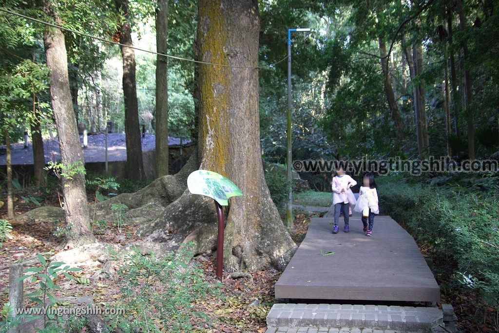 YTS_YTS_20181228_嘉義東區林業試驗所嘉義樹木園／山仔頂植物園Chiayi East District Chiayi Botanical Garden128_3A5A0092.jpg