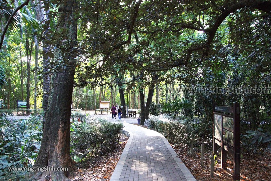 YTS_YTS_20181228_嘉義東區林業試驗所嘉義樹木園／山仔頂植物園Chiayi East District Chiayi Botanical Garden135_3A5A0174.jpg